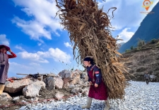 Hanoi To Mai Chau: 1-Day Mountain Adventure And Escape