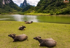 Vietnam Adventure Tour - 4 Day Fast And Furious: Highlights Of The Northeast Mountains