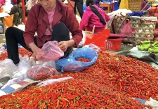 Vietnam Adventure Tour 3 Day Authentic Northwest To Mai Chau - Pu Luong 