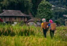 Vietnam Adventure 6-Day Tour To Northwest