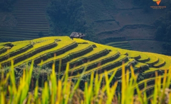Day 5: DAY 5: MU CANG CHAI - SAPA (B/L/D)