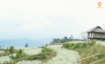 Day 1: Hanoi - Thung Khe Pass - Mai Chau Flag Tower - Mai Chau With Love Homestay - Cycling  (L/D)