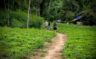Day 3: Mai Chau With Love Homestay - Trekking - Hanoi (B/L)