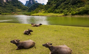 Day 7: Ba Be Lake - Ha Noi (B/L)