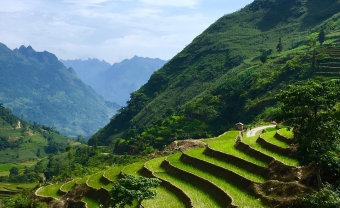 Day 6: MU CANG CHAI - HA NOI (B/L)
