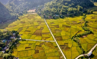 Day 1: Hanoi - Mai Chau (L/D)