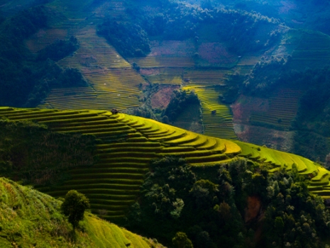 Vietnam Adventure 6-Day Tour To Northwest