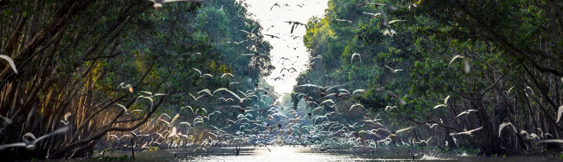 Destinations in Dong Thap