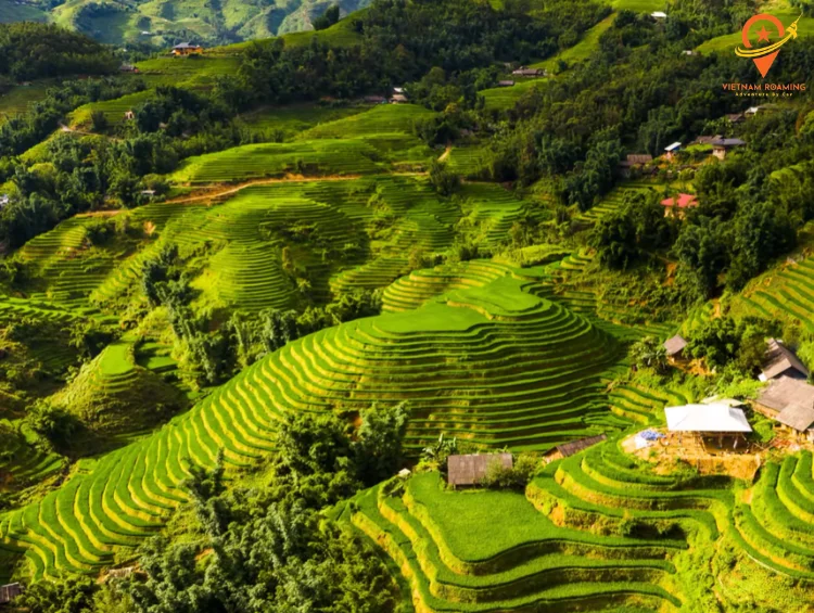 Vietnamese Vistas: A 5-Day Expedition 