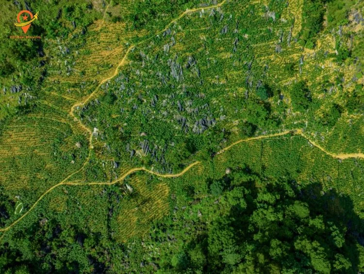 Day 1: DAY 1: Hanoi - Mai Chau  (D)