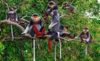 Day 4: Day 4 : Ninh Binh And Cuc Phuong National Park (B/L/D)