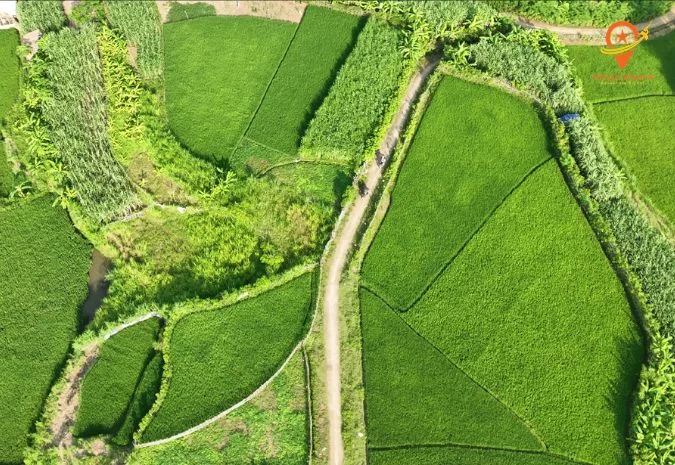 Vietnamese Vistas: A 5-Day Expedition In North Vietnam